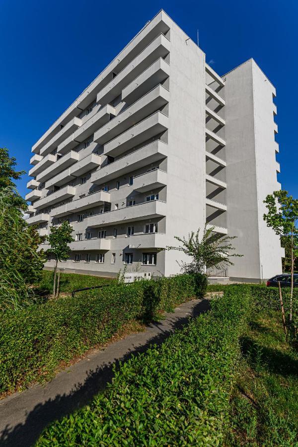 KOA - Flamingo Apartment Brasov Bagian luar foto